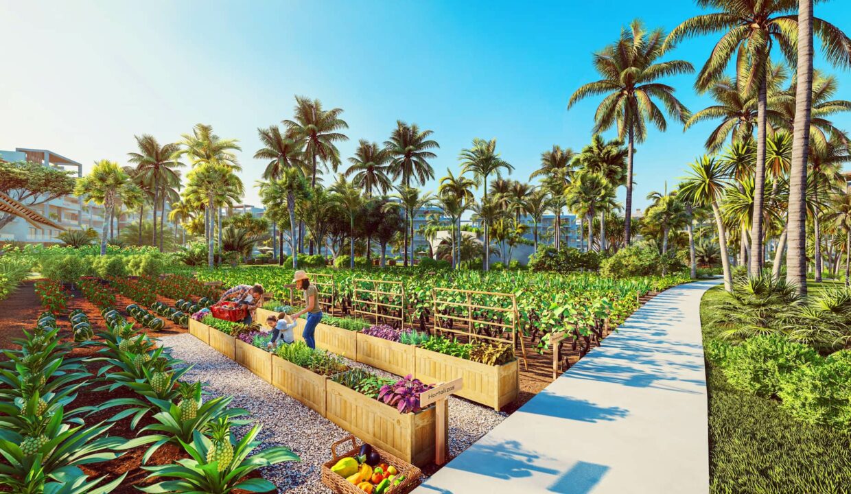 Bavaro_CAM30_1-1